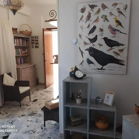 Πανσιόν Bab San Feliciano 3*